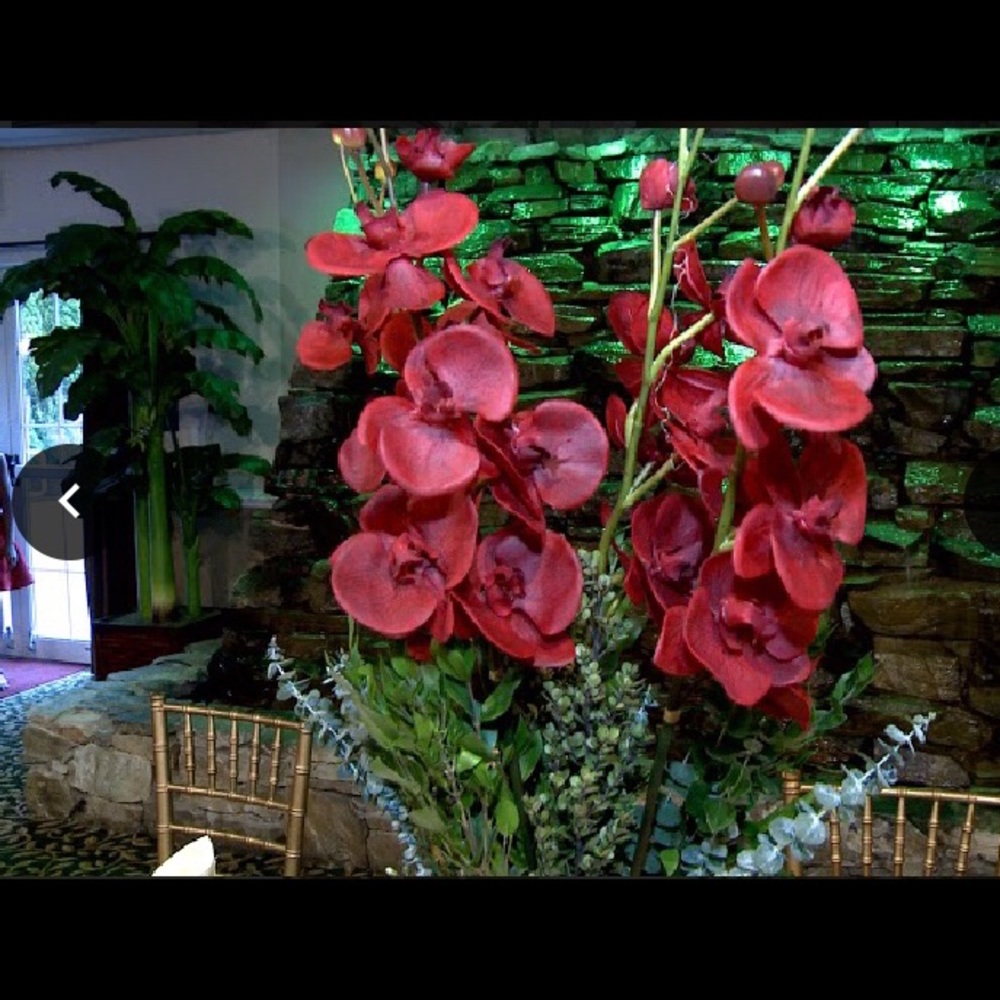 Meet your Posher, Nikki